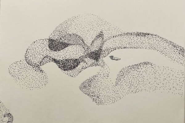 2024 Murmuration I pen on paper 14.8x21 cm